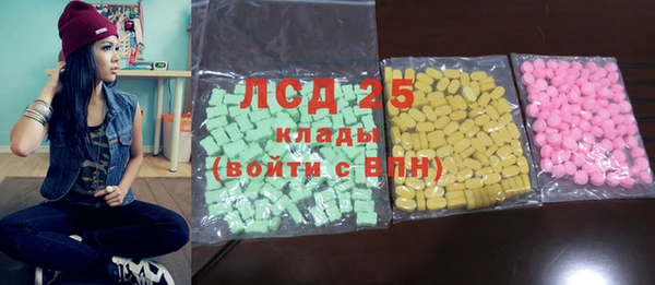 прущие грибы Магадан