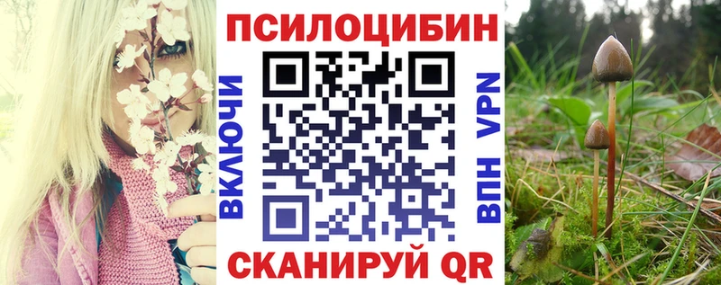 Галлюциногенные грибы MAGIC MUSHROOMS наркошоп Шагонар